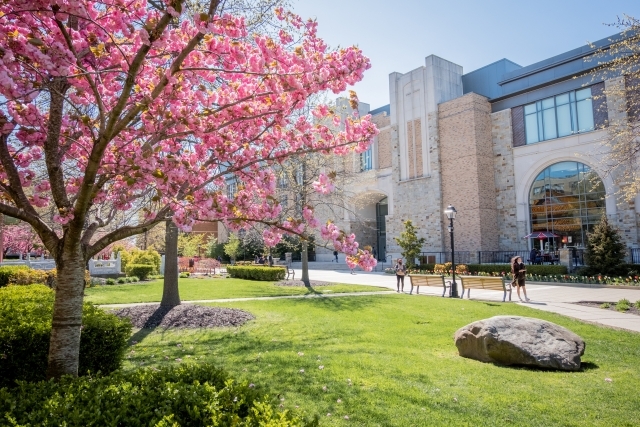 St. John's University Campus in the Spring Season 