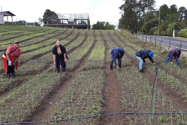 St. John's students on Plunge retreat working on a farm