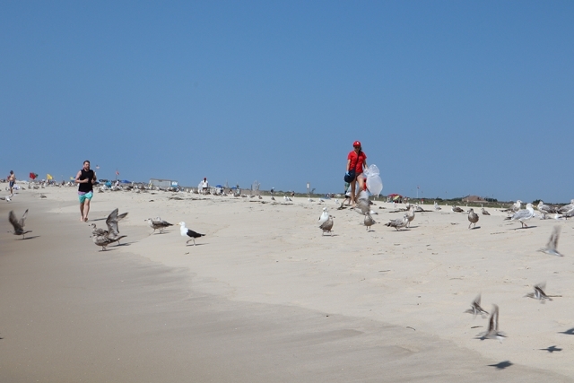 St. John's Alumni clean up the beach in SJU baseball caps