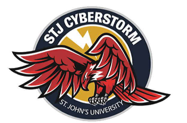 STJ Cyberstorm Logo 