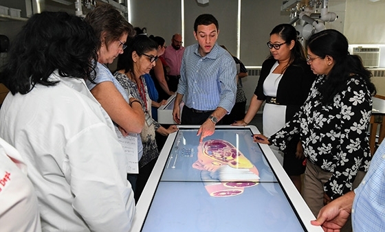 College faculty and instructors receive training from an Anatomage expert on the Anatomage table