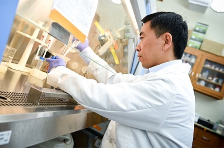 St. John's Faculty Working in Lab