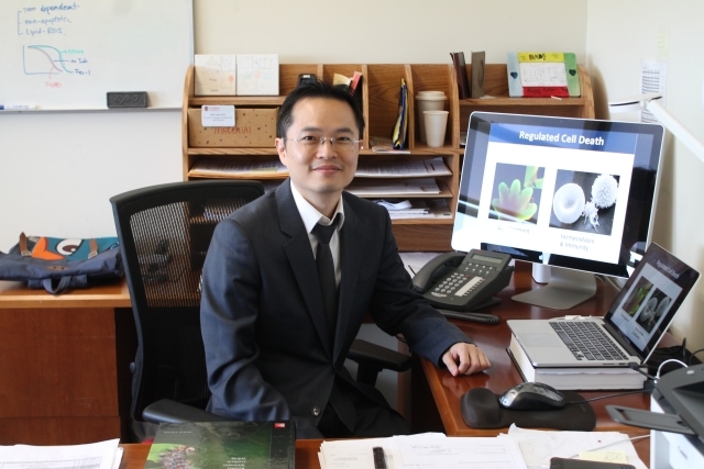 Wan Seok Yang, Ph.D.