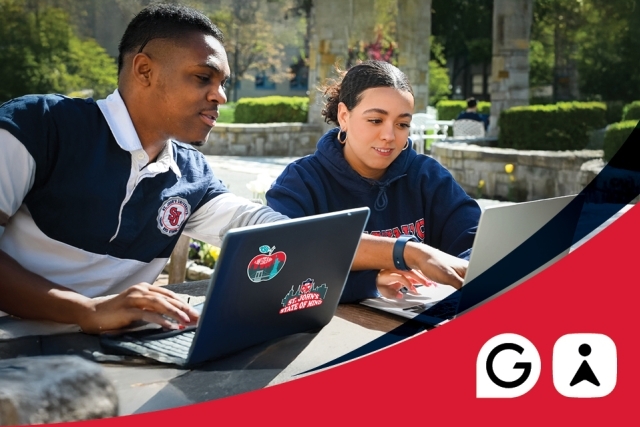 Male and female students working on laptops