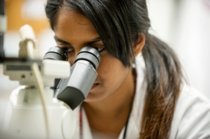 A female pharmacy student looks through a microscope in a St. John’s University lab.