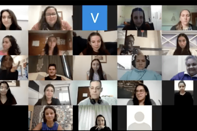 Zoom screenshot of GOLE Brazil meeting