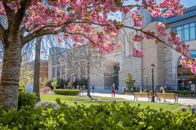 Exterio shot of D'Angelo Center with students walking past