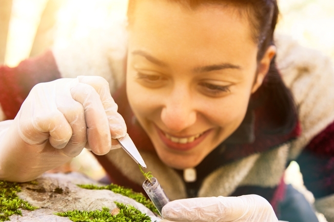 Female researcher taking samples of green plant off rock