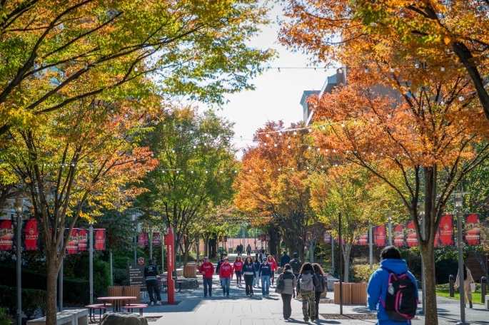 St. John's University Campus in Queens, New York City in the Fall