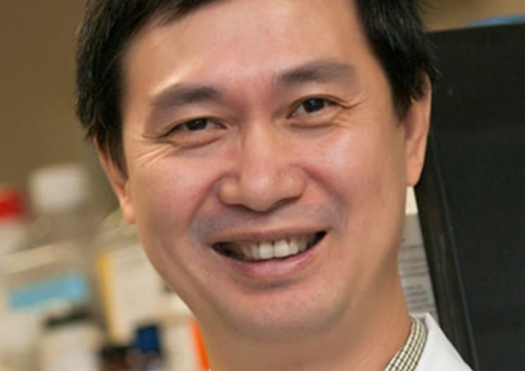 Zhe-Sheng Chen headshot