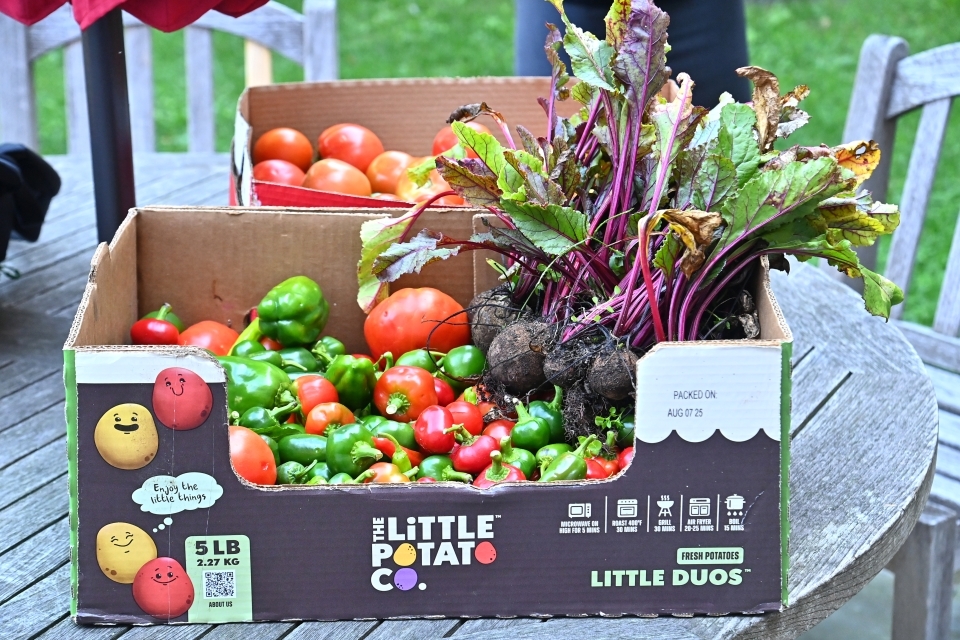 Box of food
