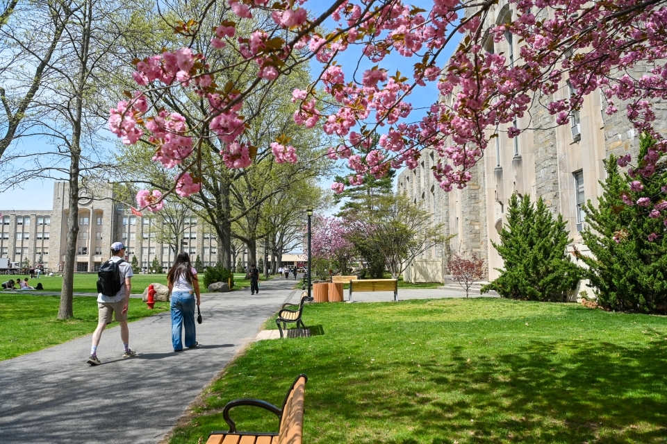 St. John's University Queens, NY, campus 