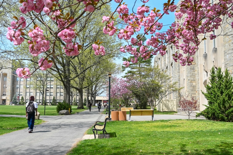 St. John's University campus in the springtime