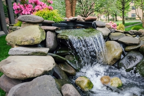 Lenten Reflections Day 5