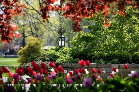 Lenten Reflections Day 12