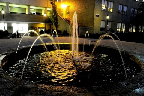 Lenten Reflections day 19