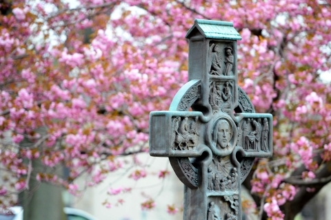 Lenten Reflections Day 21