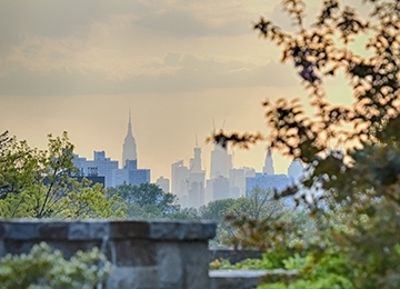 NYC Skyline from St. John's Campus