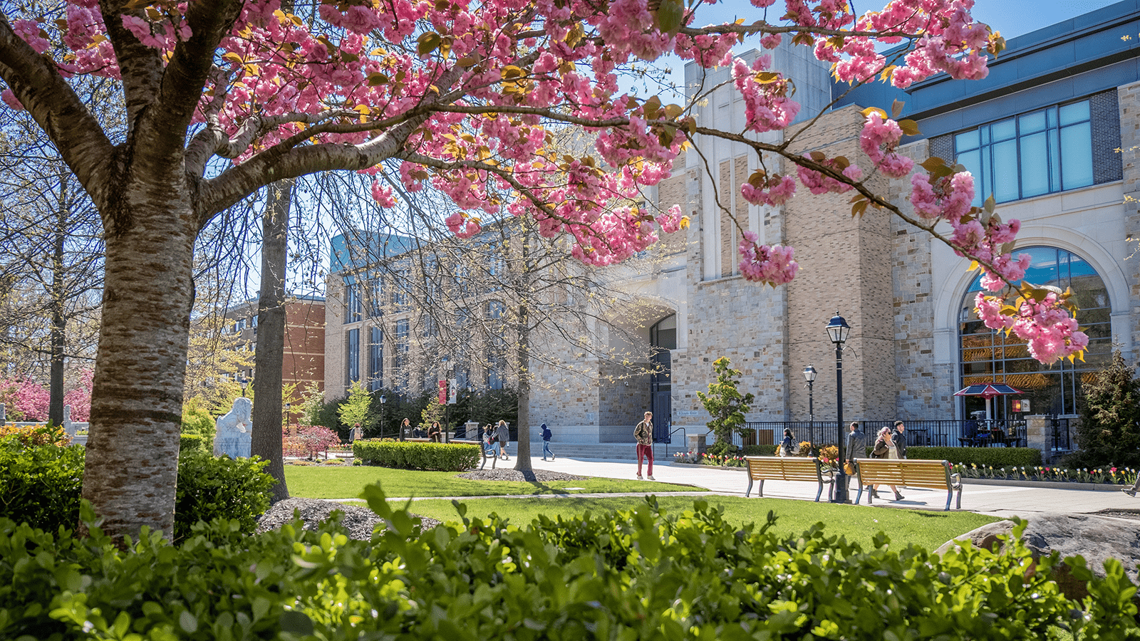 Exterio shot of D'Angelo Center with students walking past 
