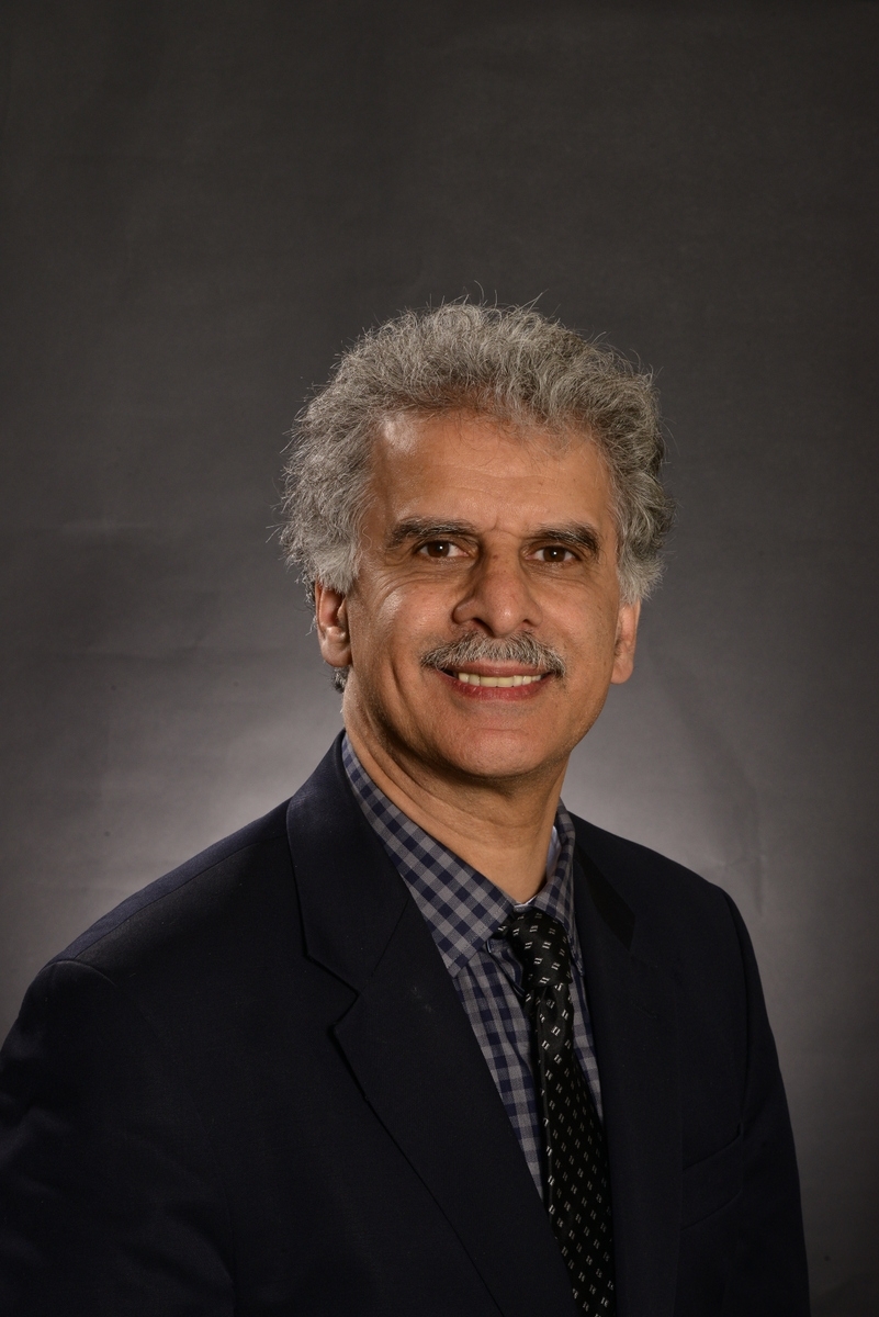 Profile photo for Ahmad F. Vakil, Ph.D.