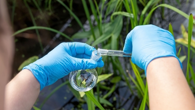 Hands holding beaker pouring sample into it